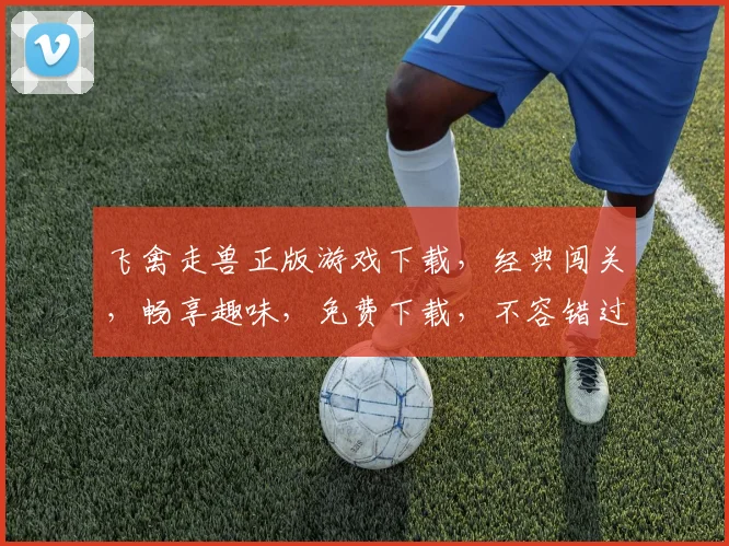 飞禽走兽正版游戏下载，经典闯关，畅享趣味，免费下载，不容错过
