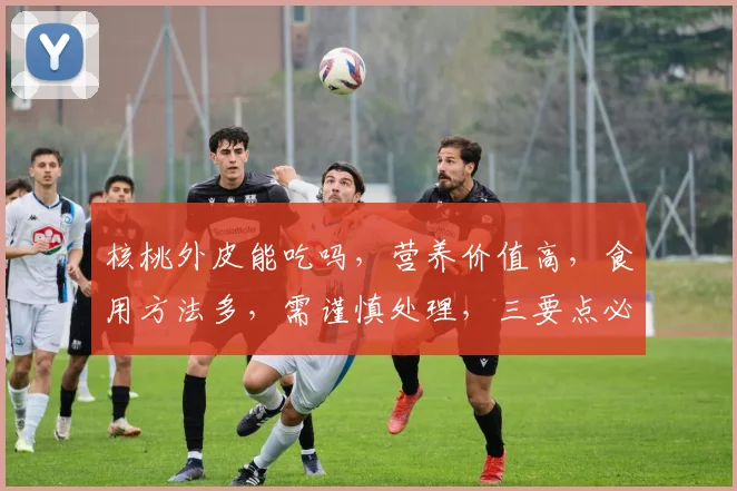 核桃外皮能吃吗，营养价值高，食用方法多，需谨慎处理，三要点必看