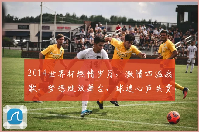 2014世界杯燃情岁月，激情四溢战歌，梦想绽放舞台，球迷心声共赏。