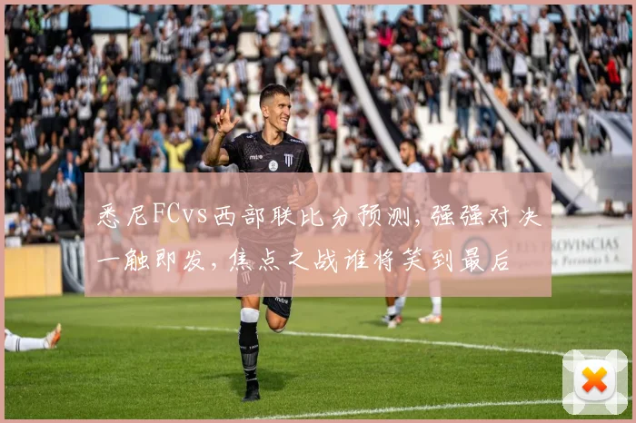 悉尼FCvs西部联比分预测,强强对决一触即发,焦点之战谁将笑到最后