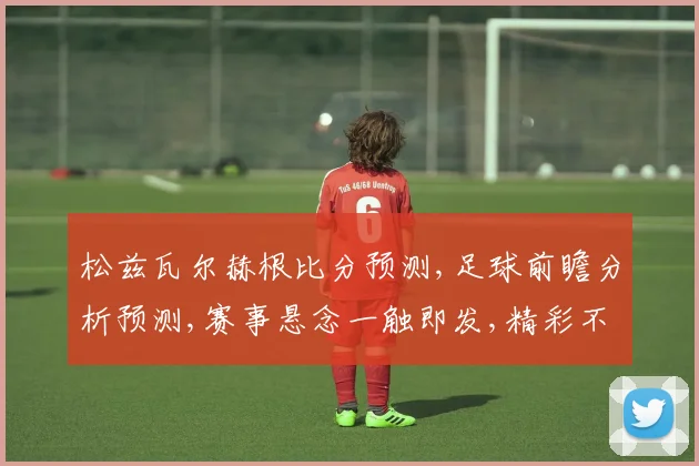 松兹瓦尔赫根比分预测,足球前瞻分析预测,赛事悬念一触即发,精彩不容错过,敬请关注